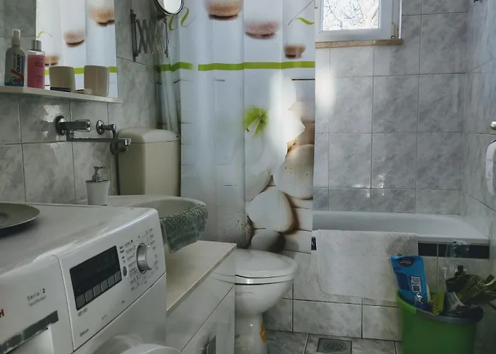 Viridis 公寓 里耶卡